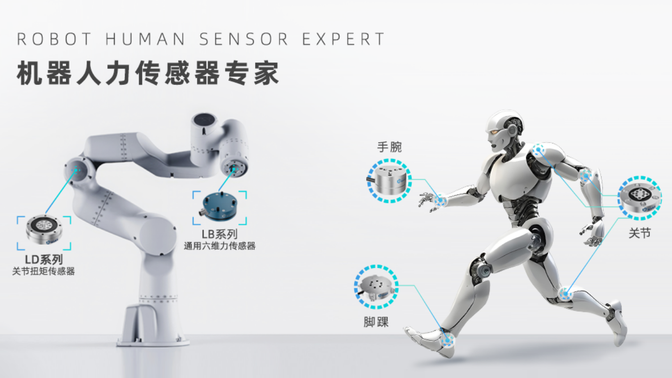 六維力傳感器在人形機器人與協作機器人場景應用案例