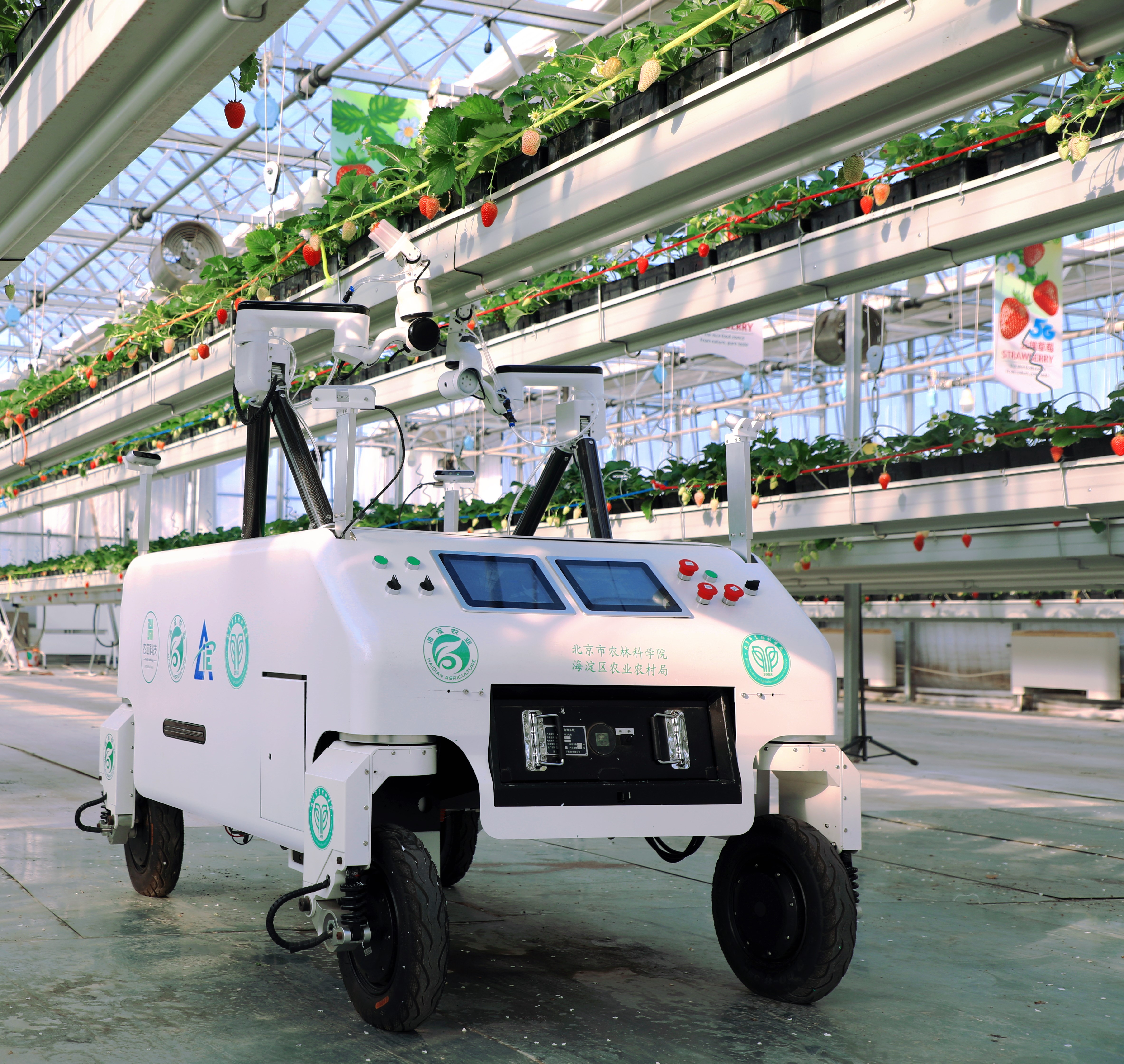 草莓采摘機器人